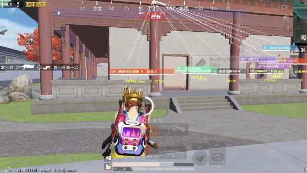 和平精英奶龙辅助